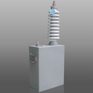 防護(hù)電容器