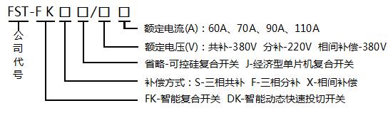 FST-FK���܏�(f��)���_(k��i)�P(gu��n)